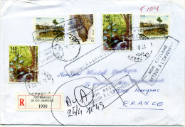 GREECE 2002 - Registered Cover From Greece To France With Cinderella On Back Returned To Sender. - Covers & Documents