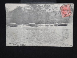GRANDE - BRETAGNE - AFRIQUE DU SUD - Carte Postale Obl " Waterval Pour La France En 1906 - à Voir- Lot P8059 - Nouvelle République (1886-1887)
