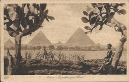 Postcard RA004315 - Egypt (Egipat / Agypten / Egitto / Misri) Giza (Gizah / Gizeh / Jizah) - Gizeh