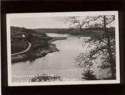 29 Plouguerneau La Rivière & Le Pont De Paluden édit. Paul  Carte Photo éditée - Plouguerneau