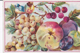 CHROMO 8 X 12 . Oiseaux Et Fruits (Raisins, Cerises, Pomme, Etc ) PUB CHICOREE A LA FRANCAISE /  P. Mairesse Cambrai - Tè & Caffè