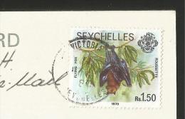 SEYCHELLES Thérèse Island Mahé Victoria 1980 - Seychelles