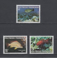 (S1205) FRENCH POLYNESIA, 1981 (Fishes). Complete Set. Mi ## 322-324. MNH** - Unused Stamps