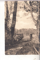 0-2383 PREROW/Darß, Brücke über Den Strom, 1962 - Seebad Prerow