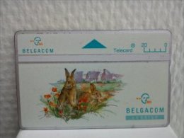 Phonecard Rabit - Kaninchen