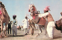 Pakistan - Animaux - Chevaux - Chameaux - Dancing Horese - Dancing Camel - Semi Moderne Grand Format - Pakistán