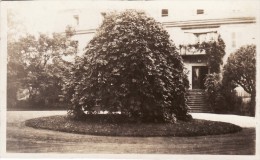 Foto 1919 HEDDESDORF (Neuwied) - Eine Hause (A112, Ww1, Wk 1) - Neuwied
