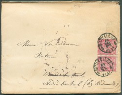 N°46(2) - 10 Rose (x2) Obl. Sc BRUXELLES 5 Sur Enveloppe Datée Du 29 Mai 1887vers Nederbrakel. - 10656 - 1884-1891 Leopold II
