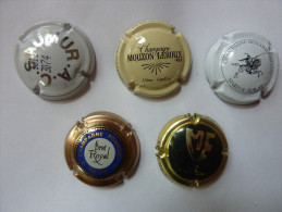 Capsules Plaques De Muselet Champagne - Collections