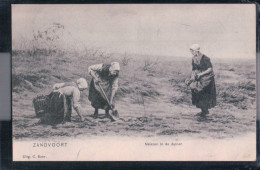 Zandvoort - Nalezen In De Duinen - Zandvoort