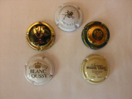 Capsules Plaques De Muselet Champagne - Collections