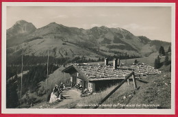 2 Foto-AK ´Hütten Bei Bayrischzell´ (LK Miesbach) ~ 1955 - Miesbach