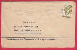 179933 / 1965 - 2 St. - Fruit Grape Wiitrybel Raisin  V. TARNOVO  Bulgaria Bulgarie Bulgarien Bulgarije - Briefe U. Dokumente