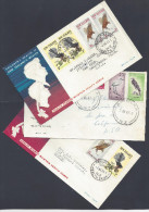 NOUVELLE-ZELANDE - 1961-65 - TROIS JOLIES ENVELOPPES THEME OISEAUX - - Lettres & Documents