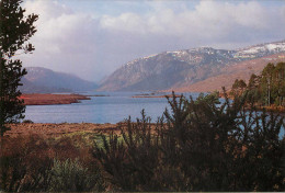 Irlande - Donegal - Glenveagh National Park - Lough Veagh In Winter - Semi Moderne Grand Format - état - Donegal