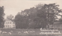 Zwarte Fotokaart Kasteel Diepenbroeck Te Lovendegem 1929 - Lovendegem