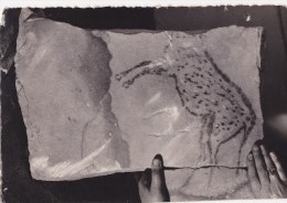CPSM Peinture Paléolithique Sur Grès - Musée Régional D'histoire Et De Préhistoire - Milly-la-Forêt - Milly La Foret