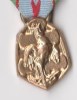 MEDAILLE MINIATURE GUERRE 1939-1945 REPUBLIQUE FRANCAISE - Frankreich