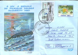 Romania - Postal Stationery Cover 2002 Used - Southern Whales - Antarctic Wildlife