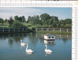 PREVERANGES   ( Cher) -    Ville  Jumelée  Avec   PREVERENGES    ( Suisse)   -   Le   Parc  -  Etang - Préveranges