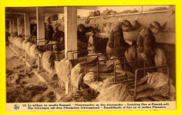 VLASTEELT STERREMOLEN CULTURE  DU LIN TEILLAGE AU MOULIN KORTRIJK WEVELGEM HARELBEKE LYS LEIE Vlas Flax Paysan Boer 4075 - Harelbeke