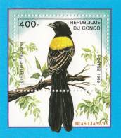 Congo Hb Pajaros - Ungebraucht