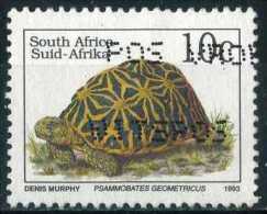 South Africa 1993 Mi 893 Reptiles | Turtles, Psammobates Geometricus - Usati