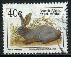 South Africa 1993 Mi 895 Rabbits, Bunolagus Monticularis - Usati