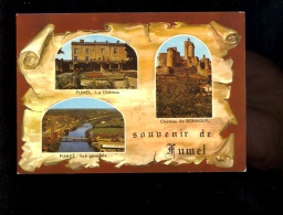 FUMEL Lot Et Garonne 47 : Le Château Vue Générale Et Bonaguil - Fumel