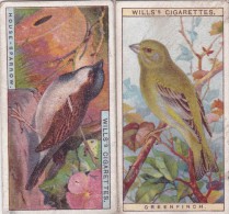 CHROMO-CIGARETTES-WILLS-BRITISH BIRDS-LOT OF 2 PIECES-LOOK AT 2 SCANS-LITTLE PRICE ! ! ! - Wills