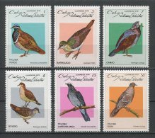 CUBA 1979 N° 2093/2098 ** Neufs = MNH Superbes Cote 4,75 € Faune Oiseaux Pigeons Birds Fauna Animaux - Neufs