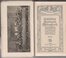 Buch Schlesisches Gesangbuch Schlesien Breslau Wroclaw Schweidnitz Swidnica Book Silesia Religion Georg Anna Lerch 1910 - Christendom