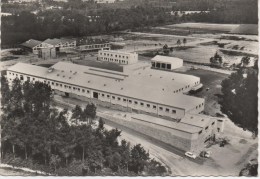 ST JEAN BREVELAY  L´ABATTOIR LA RURALE MORBIHANNAISE - Saint Jean Brevelay