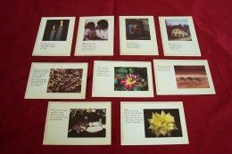 LOT 9 CARTES DE  POSTALES  DE CITATION - Europa