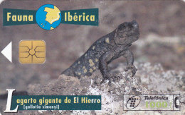 SPAIN   Phonecard With Chip  Reptile, Lizard - Crocodiles Et Alligators