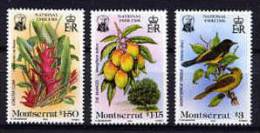MONTSERRAT 1985, EMBLEMES NATIONAUX FLEURS FRUITS OISEAUX, 3 Valeurs, NEUFS. R226 - Montserrat