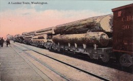 A Lumber Train Tacoma Washington 1914 - Tacoma