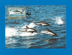 Montserrat 1990  Mi.Nr. 787 , Dolphin - WWF - Maximum Card - First Day  25. Sep.1990 - Montserrat