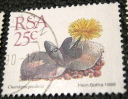 South Africa 1988 Succulent Cheiridopsis Peculiaris 25c - Used - Oblitérés