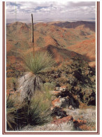 (PF 375) Australia  -  SA - Flinders Range - Flinders Ranges