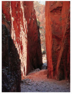 (PF 375) Australia  -  NT - Standley Chasm - The Red Centre