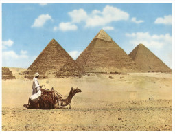 (249) Egypt - Giza Pyramids (older Postcard) - Gizeh