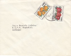 Chypre Turque - Lettre De 1981 ° - Fruits - Mandarines - Fraises - Covers & Documents