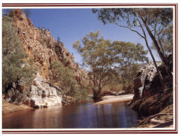 (PF 368) Australia - SA - Flinders Ranges Echo Camp - Flinders Ranges