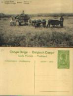 CONGO BELGE - CP N° 70 Neuve Avec Timbre Pré-imprimé (type COB N° 54) - Enteros Postales