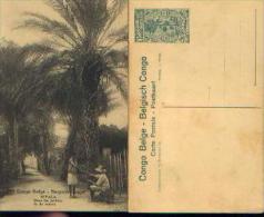 CONGO BELGE - CP N° 89 Neuve Avec Timbre Pré-imprimé (type COB N° 66) - Enteros Postales