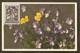 AUTRICHE Carte Maximum - Violette - Cartes-Maximum (CM)