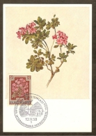 AUTRICHE Carte Maximum - Rhododendron - Cartes-Maximum (CM)