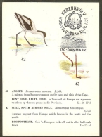 DANEMARK Carte Maximum - Avocette - Maximumkaarten