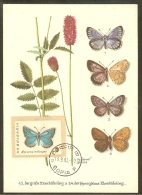 BULGARIE Carte Maximum - Lycaena Meleager - Other & Unclassified